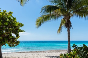 Ocean Cay Marine Preserve